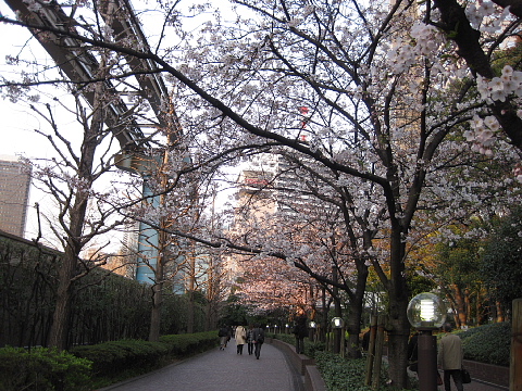 e0152357_23371772.jpg