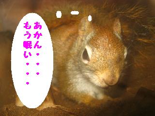 c0182258_2323162.jpg