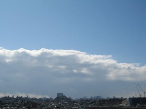 d0034659_2373680.jpg