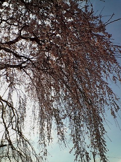 f0020662_2252596.jpg