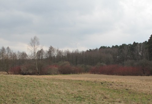 a0063364_23115978.jpg