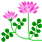 a0063364_23184841.gif