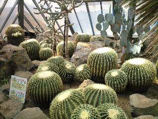 e0004173_175564.jpg