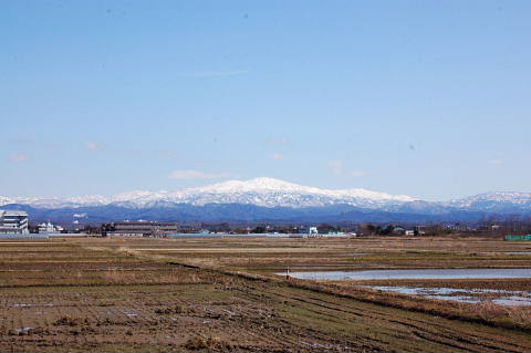 c0022275_13342171.jpg
