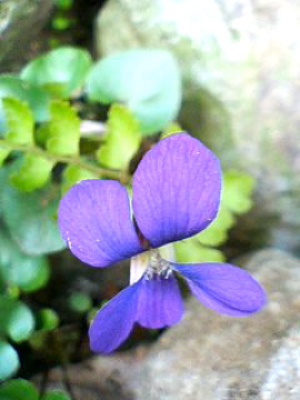 f0054677_821854.jpg