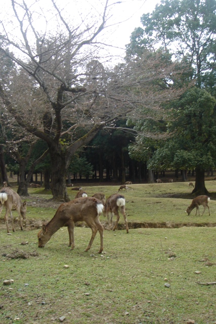 c0135480_03413.jpg