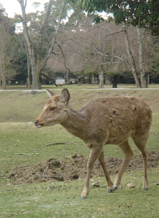 c0135480_0405028.jpg