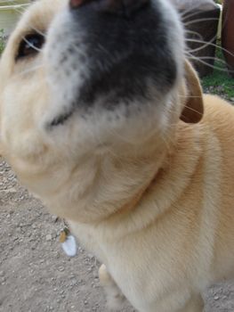 e0012580_953252.jpg