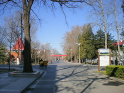 f0007580_22363944.jpg