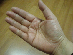 f0007580_2313195.jpg