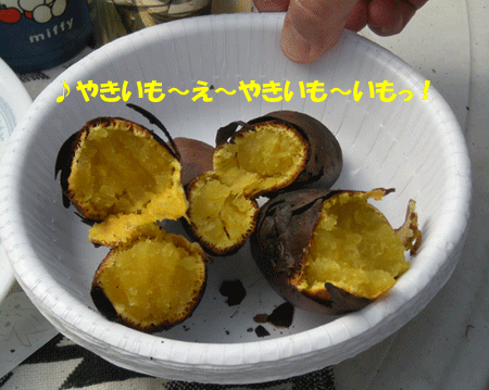 e0066883_21161495.gif