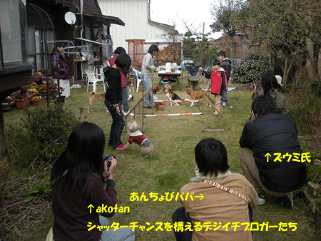 e0066883_21423766.gif
