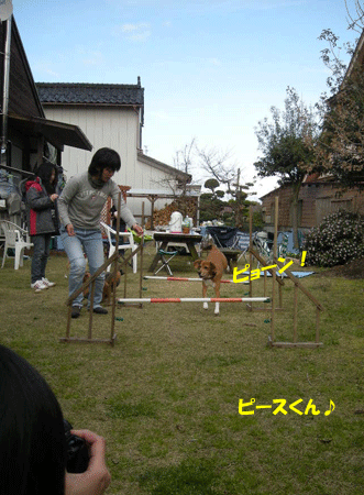 e0066883_21425426.gif