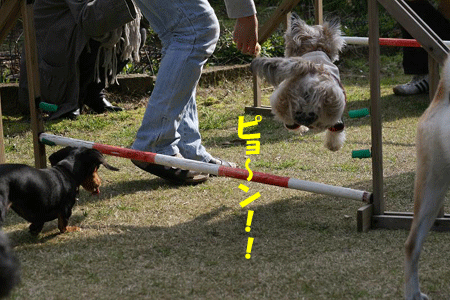 e0066883_2144543.gif