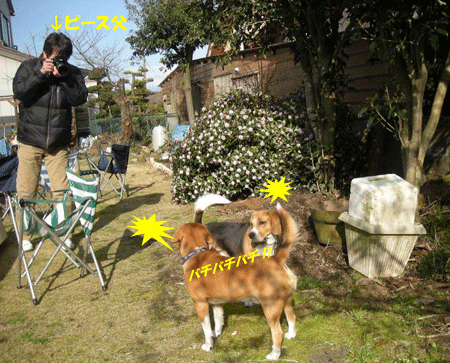 e0066883_21463119.gif