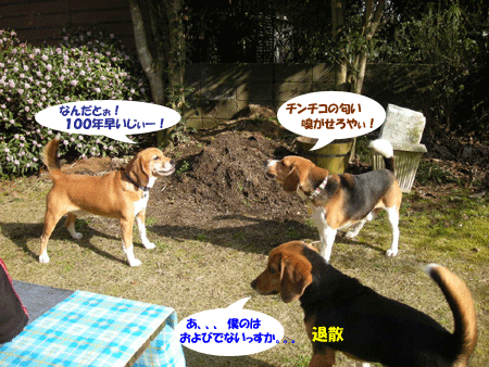 e0066883_21565746.gif