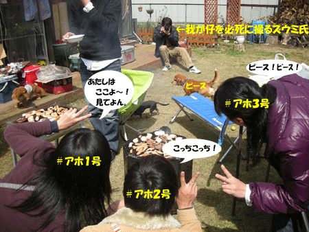 e0066883_22102451.gif