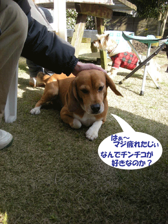 e0066883_22165170.gif