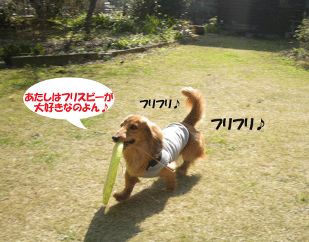 e0066883_22175079.gif