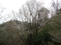 f0053885_2033580.jpg