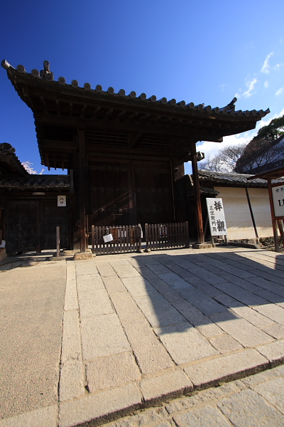e0051888_5584920.jpg