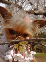 c0186393_21141762.jpg