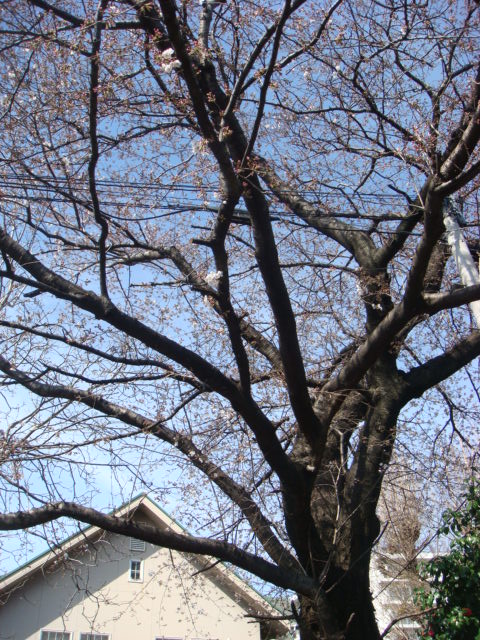 f0137694_017415.jpg