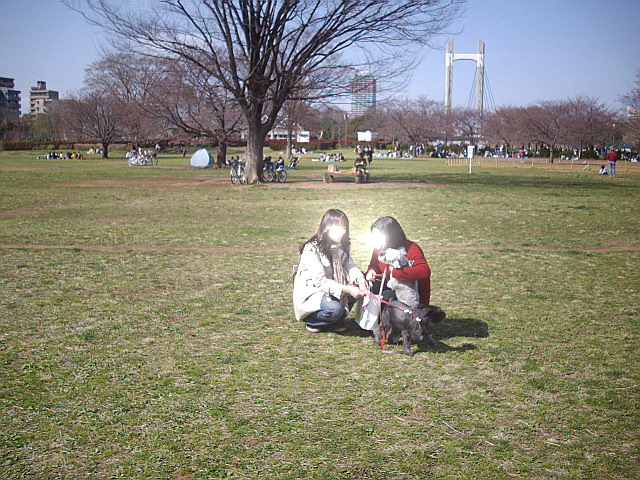 c0138198_1553742.jpg