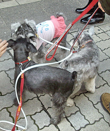 c0138198_16111030.jpg