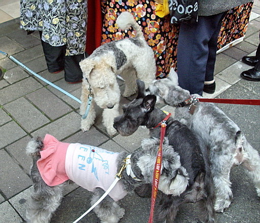 c0138198_16261967.jpg