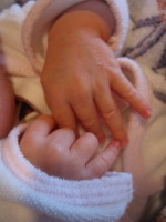 e0049598_14461274.jpg