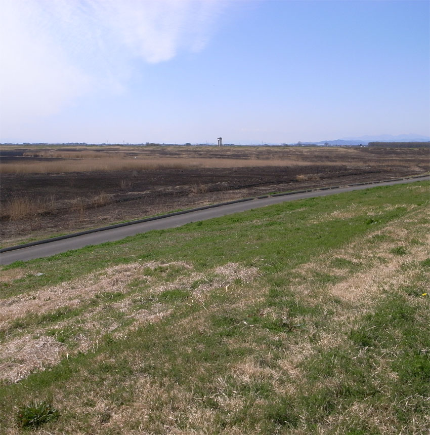 f0108399_1548977.jpg