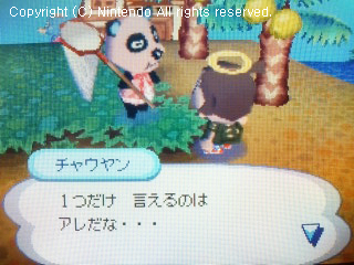 チャウヤン