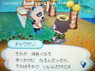 チャウヤン