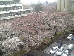 c0053700_12417.jpg