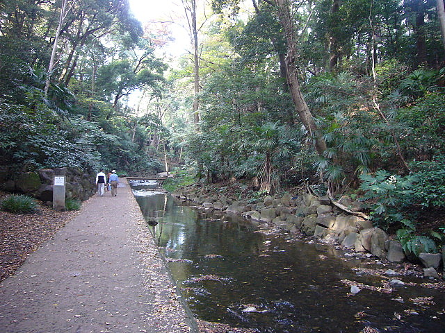 b0114403_7571868.jpg