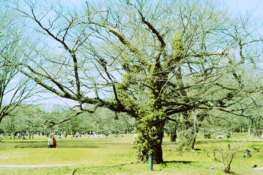 c0191707_15344243.jpg