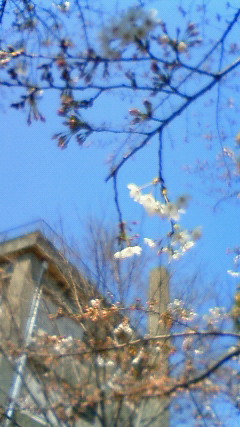 e0038911_0325231.jpg