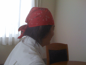 a0055913_4535542.gif