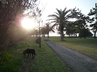 d0063615_0514578.jpg