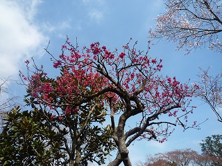 d0063615_0583169.jpg