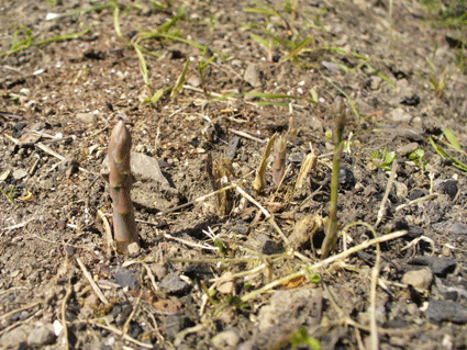 e0015915_11511652.gif