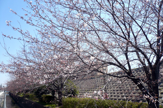 e0083517_0365997.jpg