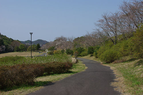 f0007926_11261454.jpg