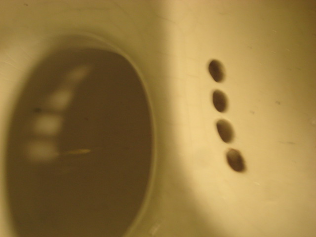 d0147727_1964727.jpg