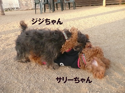d0140133_940307.jpg