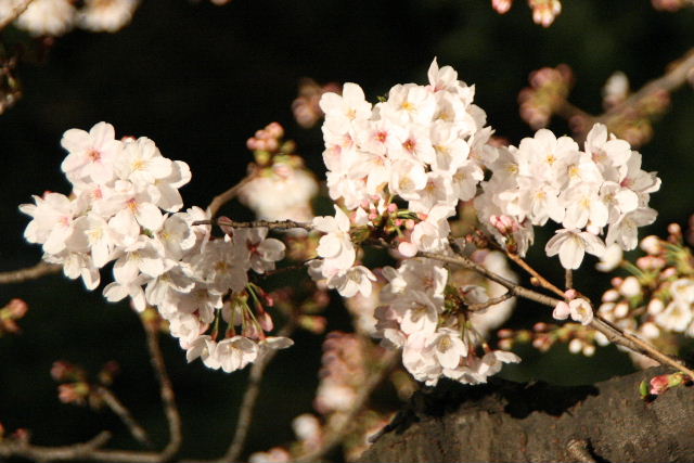 e0064133_0305873.jpg