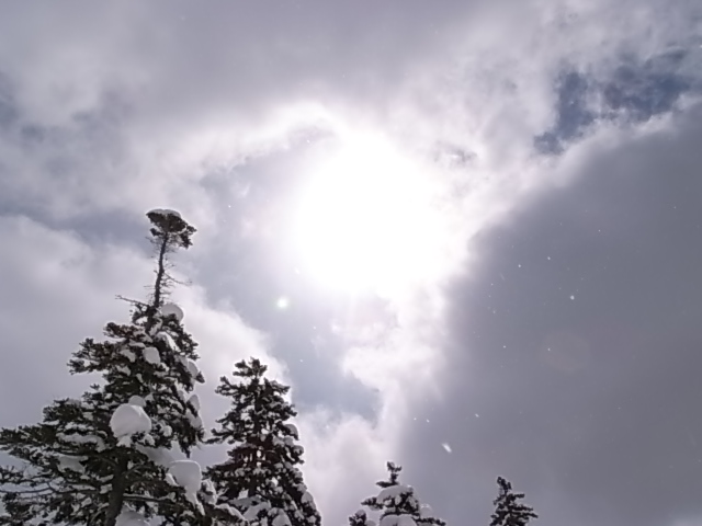 e0173533_23122981.jpg