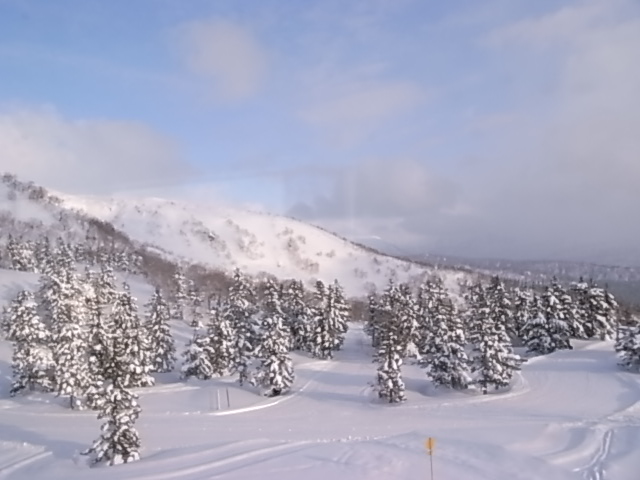 e0173533_2327449.jpg