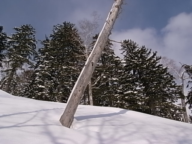 e0173533_23282426.jpg